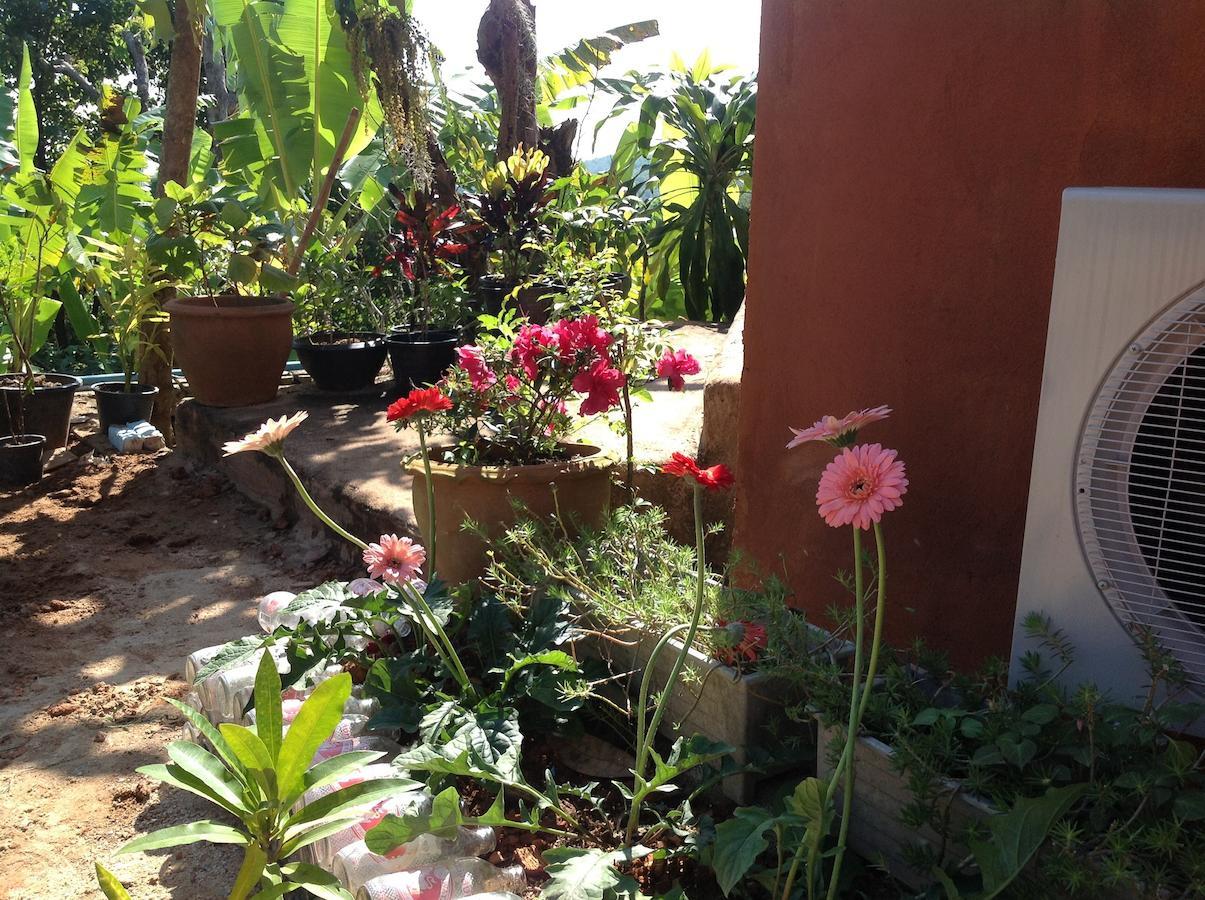 Baan Plubpla Wilai Hotell Ban Pu Khai Rum bild